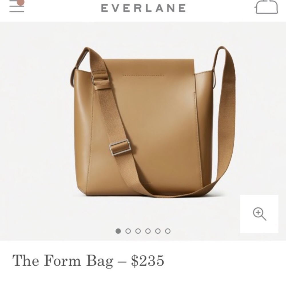 Everlane Form Bag